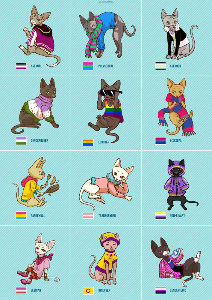 poster-kitty-800