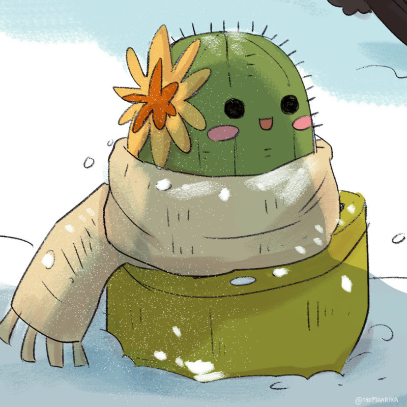 Josephine the cactus close up
