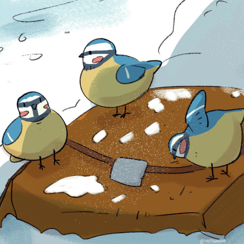 Birds closeup