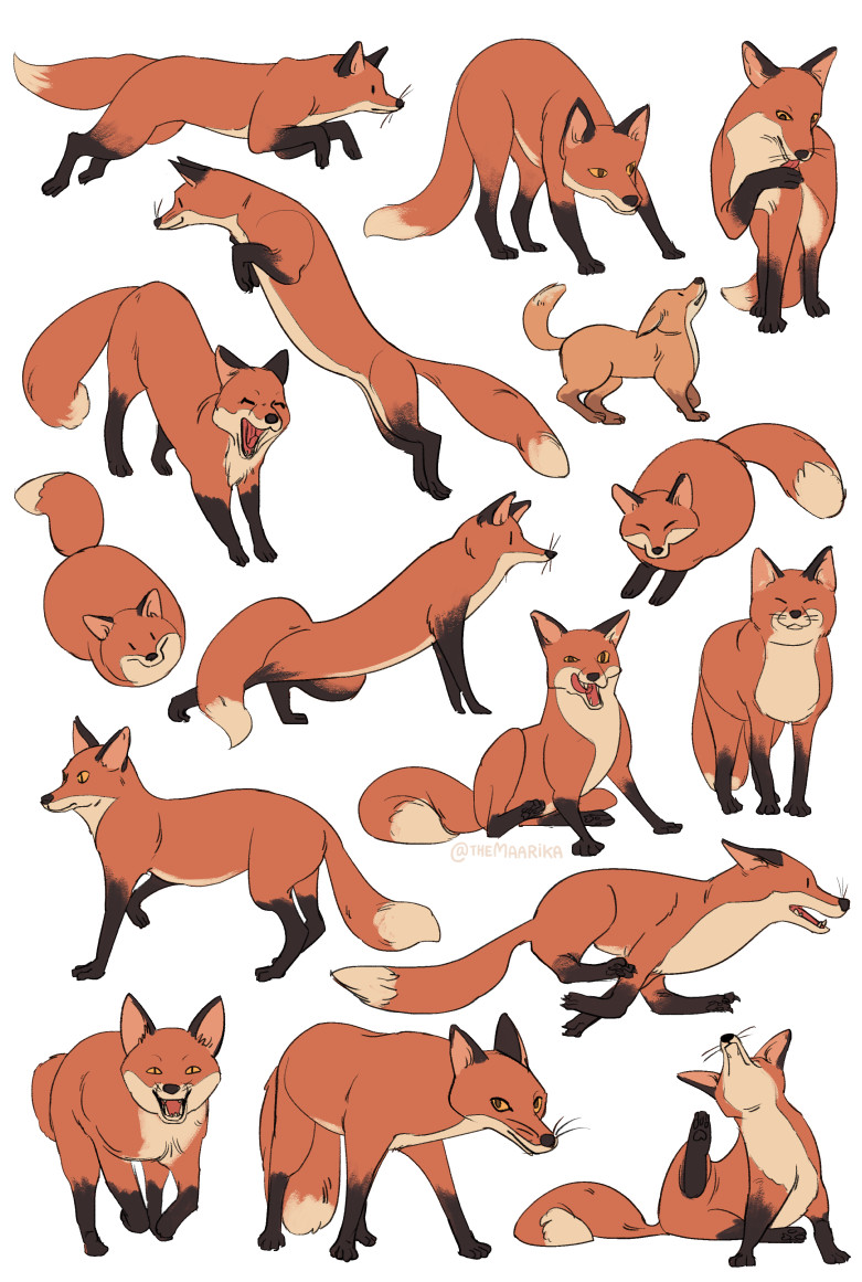 foxes