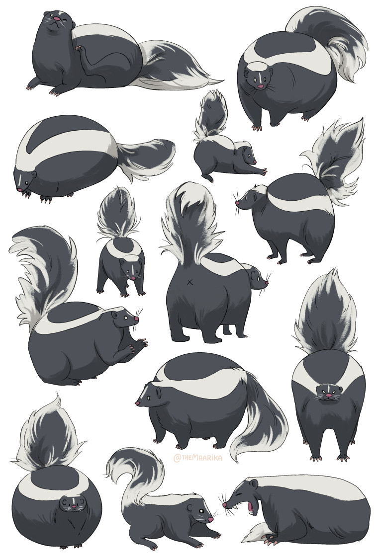 skunks